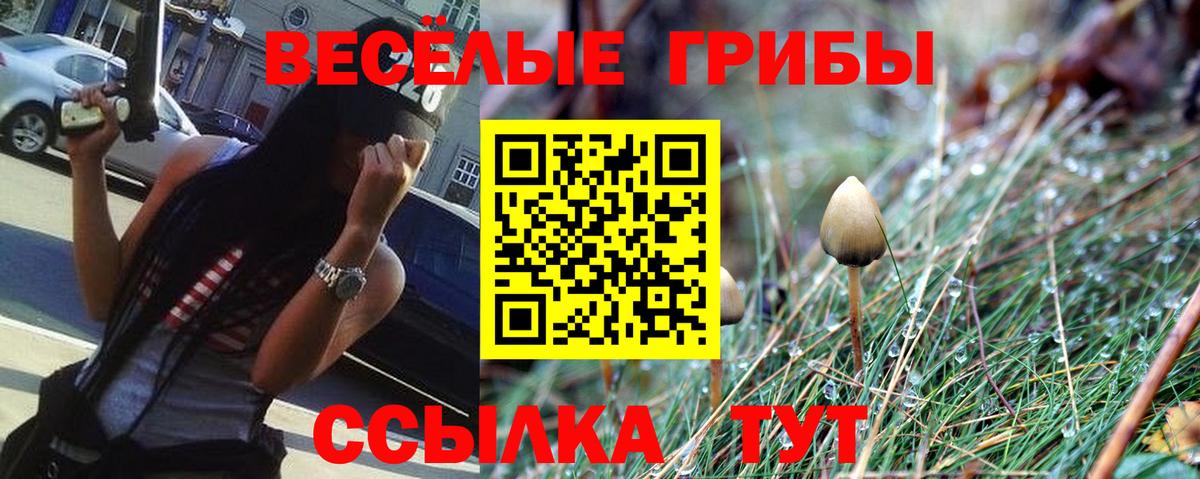 Верхний Уфалей  Псилоцибиновые грибы Psilocybine cubensis  Вход с VPN 